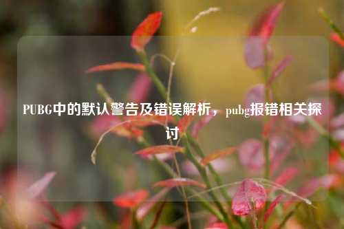 PUBG中的默认警告及错误解析，pubg报错相关探讨