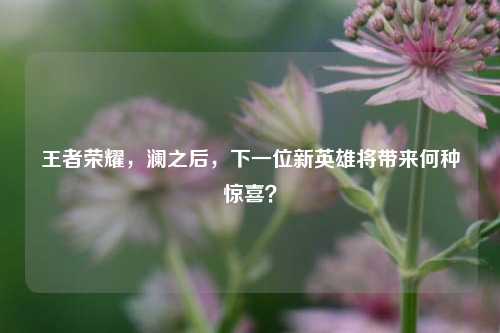 王者荣耀，澜之后，下一位新英雄将带来何种惊喜？