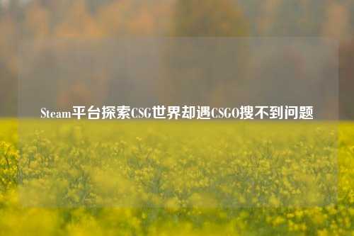 Steam平台探索CSG世界却遇CSGO搜不到问题