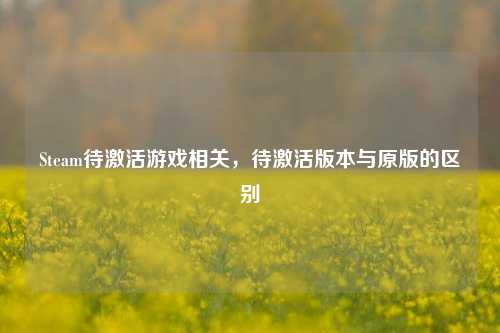 Steam待激活游戏相关，待激活版本与原版的区别
