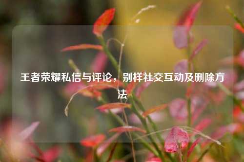 王者荣耀私信与评论，别样社交互动及删除方法