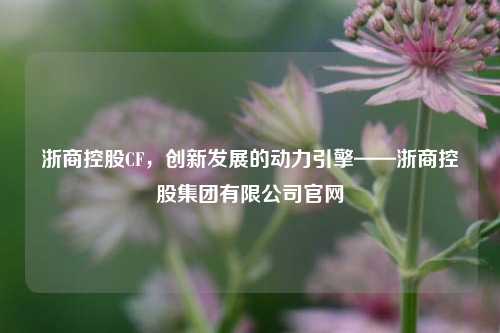 浙商控股CF，创新发展的动力引擎——浙商控股集团有限公司官网