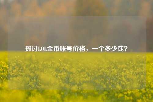 探讨LOL金币账号价格,一个多少钱?
