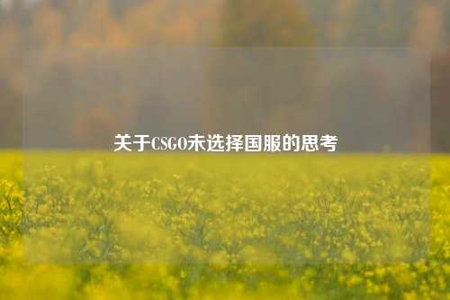 关于CSGO未选择国服的思考