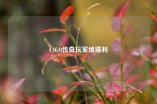 CSGO传奇玩家维塔利