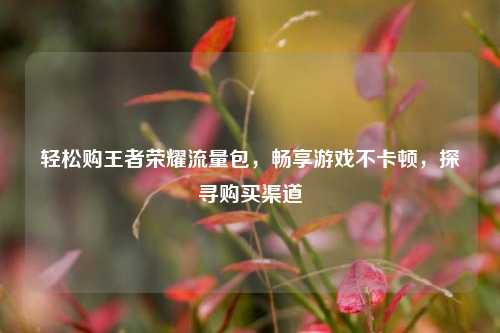 轻松购王者荣耀流量包，畅享游戏不卡顿，探寻购买渠道