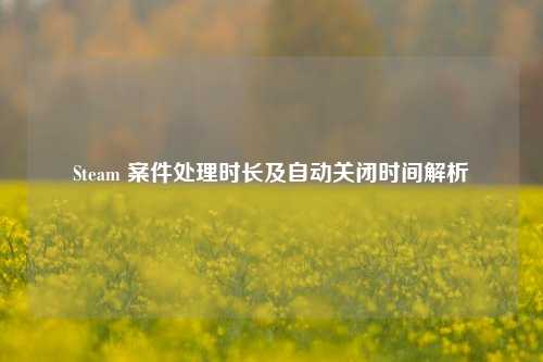Steam 案件处理时长及自动关闭时间解析