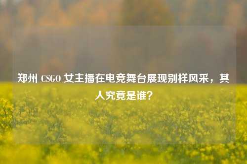 郑州 CSGO 女主播在电竞舞台展现别样风采，其人究竟是谁？