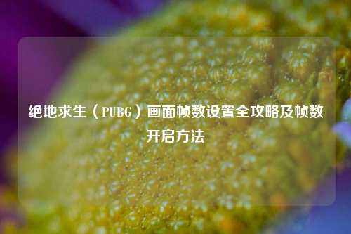 绝地求生（PUBG）画面帧数设置全攻略及帧数开启方法