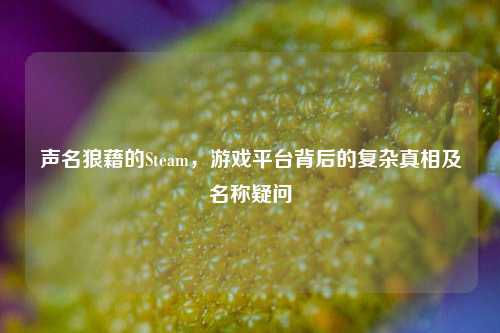 声名狼藉的Steam，游戏平台背后的复杂真相及名称疑问