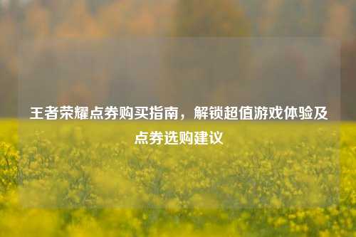 王者荣耀点券购买指南，解锁超值游戏体验及点券选购建议