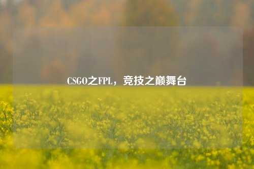 CSGO之FPL,竞技之巅舞台