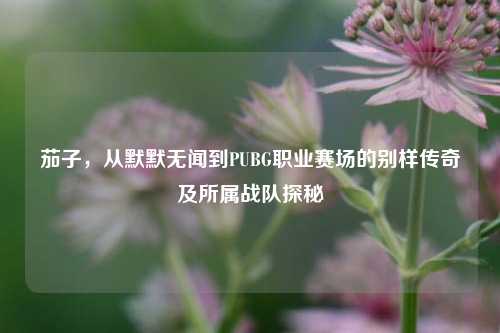 茄子，从默默无闻到PUBG职业赛场的别样传奇及所属战队探秘