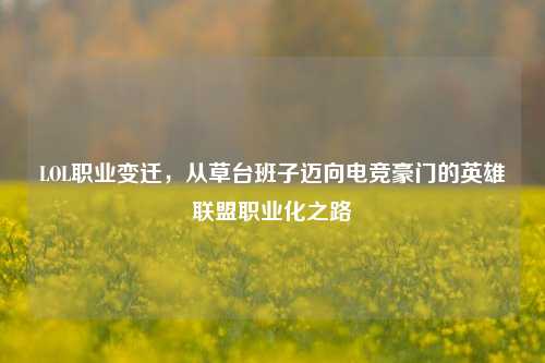 LOL职业变迁,从草台班子迈向电竞豪门的英雄联盟职业化之路