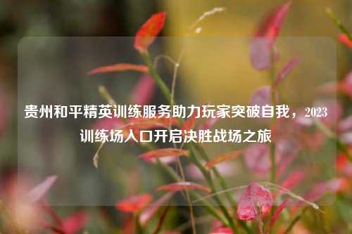 贵州和平精英训练服务助力玩家突破自我,2023训练场入口开启决胜战场之旅