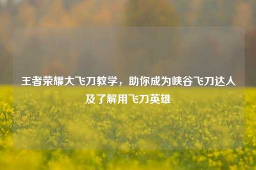 王者荣耀大飞刀教学，助你成为峡谷飞刀达人及了解用飞刀英雄