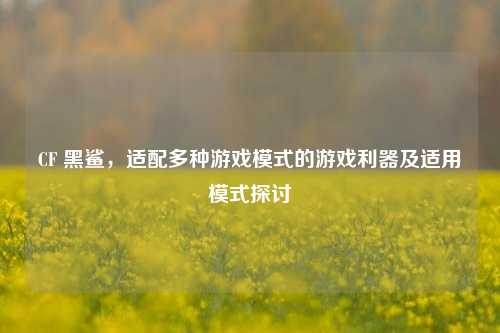 CF 黑鲨，适配多种游戏模式的游戏利器及适用模式探讨