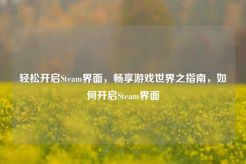 轻松开启Steam界面，畅享游戏世界之指南，如何开启Steam界面