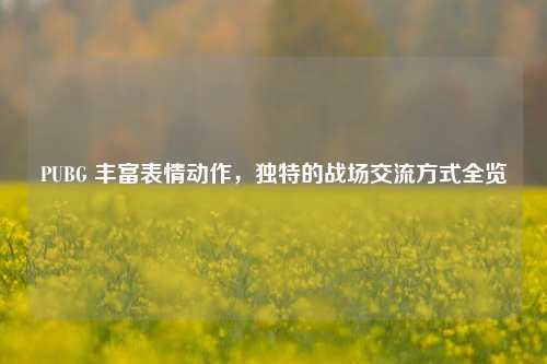 PUBG 丰富表情动作,独特的战场交流方式全览