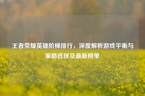 王者荣耀英雄阶梯排行，深度解析游戏平衡与策略选择及最新榜单