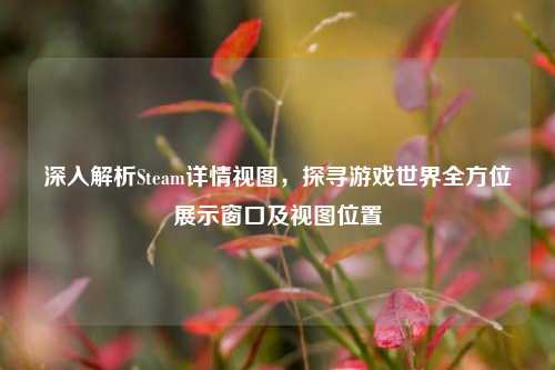 深入解析Steam详情视图，探寻游戏世界全方位展示窗口及视图位置
