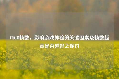CSGO帧数，影响游戏体验的关键因素及帧数越高是否越好之探讨
