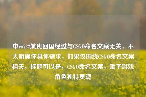 中ca722航班回国经过与CSGO命名文案无关,不太明确你具体需求,如果仅围绕CSGO命名文案相关,标题可以是,CSGO命名文案,赋予游戏角色独特灵魂