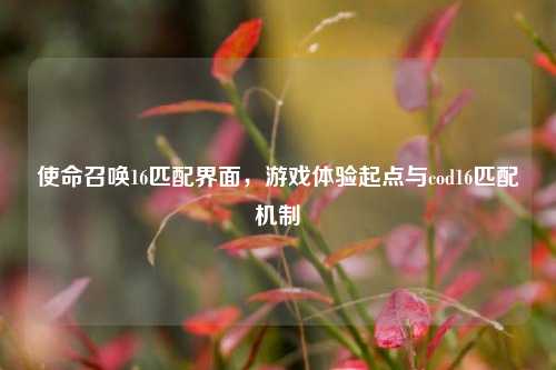 使命召唤16匹配界面,游戏体验起点与cod16匹配机制