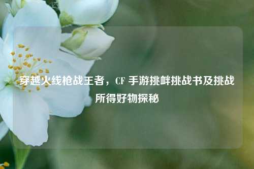 穿越火线枪战王者，CF 手游挑衅挑战书及挑战所得好物探秘