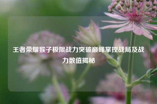 王者荣耀猴子极限战力突破巅峰掌控战局及战力数值揭秘