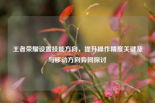 王者荣耀设置技能方向,提升操作精度关键及与移动方向异同探讨