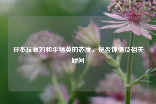 日本玩家对和平精英的态度,是否钟情及相关疑问
