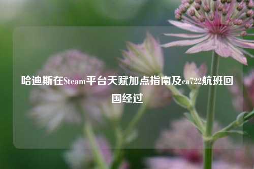哈迪斯在Steam平台天赋加点指南及ca722航班回国经过