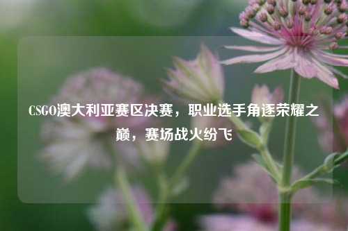 CSGO澳大利亚赛区决赛，职业选手角逐荣耀之巅，赛场战火纷飞