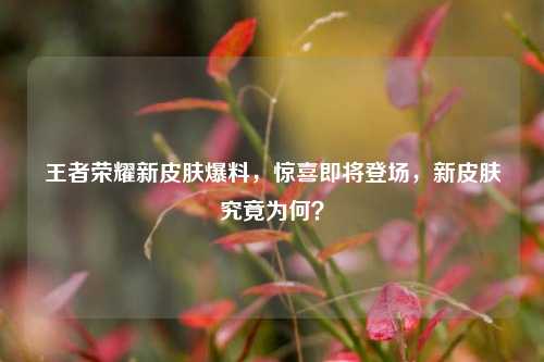 王者荣耀新皮肤爆料，惊喜即将登场，新皮肤究竟为何？