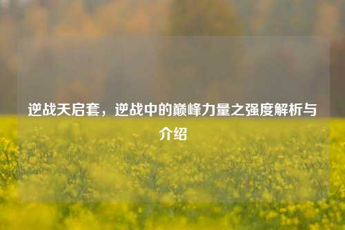 逆战天启套，逆战中的巅峰力量之强度解析与介绍
