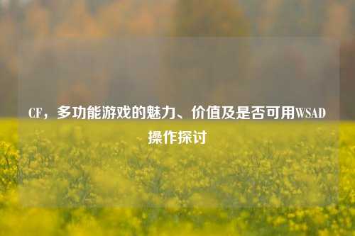 CF，多功能游戏的魅力、价值及是否可用WSAD操作探讨