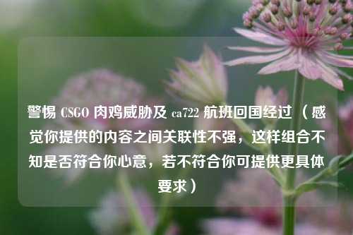 警惕 CSGO 肉鸡威胁及 ca722 航班回国经过 （感觉你提供的内容之间关联性不强，这样组合不知是否符合你心意，若不符合你可提供更具体要求）
