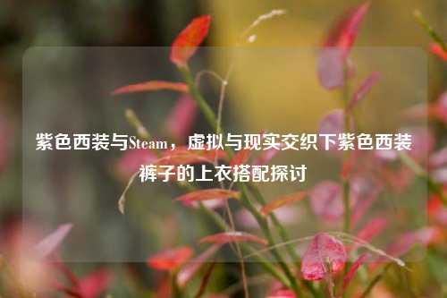 紫色西装与Steam，虚拟与现实交织下紫色西装裤子的上衣搭配探讨