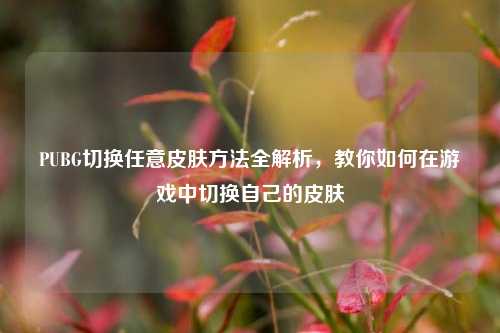 PUBG切换任意皮肤方法全解析，教你如何在游戏中切换自己的皮肤