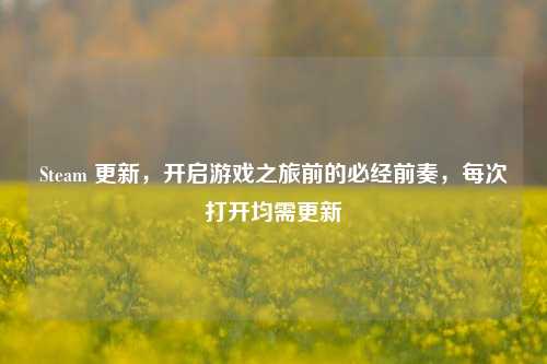 Steam 更新，开启游戏之旅前的必经前奏，每次打开均需更新