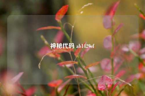 神秘代码 ab1429cf