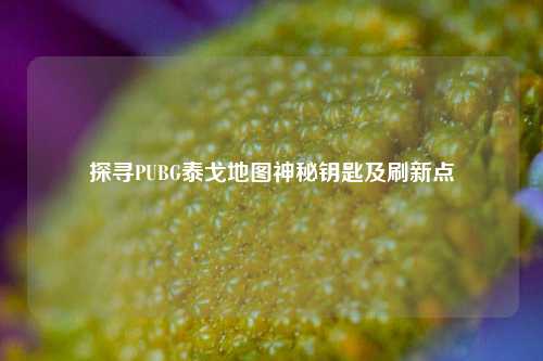 探寻PUBG泰戈地图神秘钥匙及刷新点