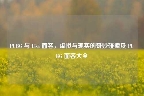 PUBG 与 Lisa 面容，虚拟与现实的奇妙碰撞及 PUBG 面容大全