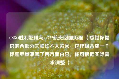 CSGO胜利怒吼与ca722航班回国历程 (感觉你提供的两部分关联性不太紧密,这样组合成一个标题尽量兼顾了两方面内容,你可根据实际需求调整 )