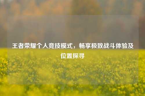 王者荣耀个人竞技模式，畅享极致战斗体验及位置探寻