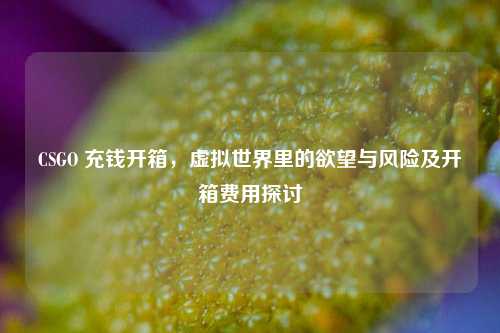 CSGO 充钱开箱，虚拟世界里的欲望与风险及开箱费用探讨
