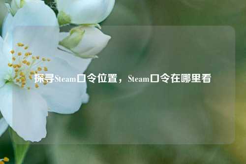 探寻Steam口令位置,Steam口令在哪里看
