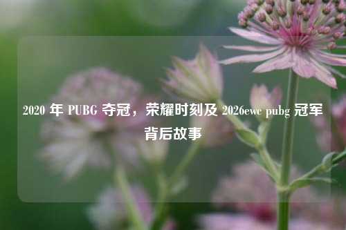 2020 年 PUBG 夺冠,荣耀时刻及 2026ewc pubg 冠军背后故事
