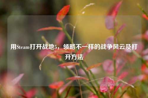 用Steam打开战地5，领略不一样的战争风云及打开方法